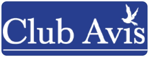 Club Avis