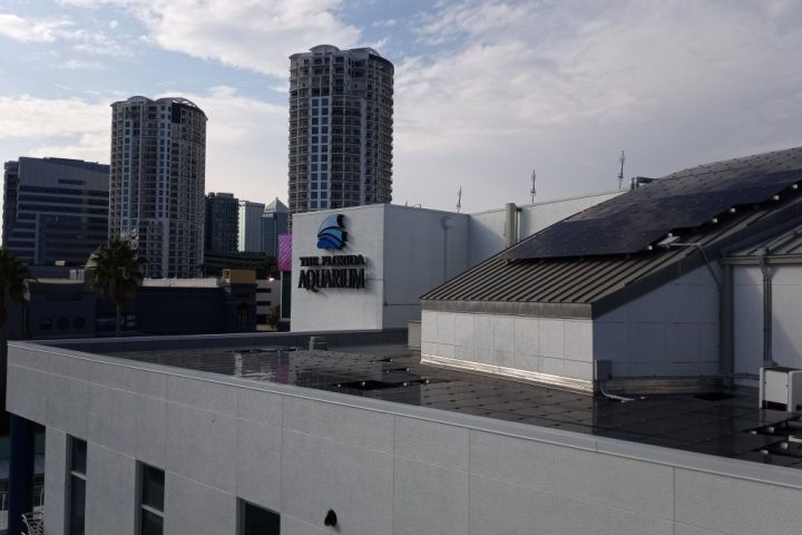 50 kW Commercial Project — Vadodara, Gujarat